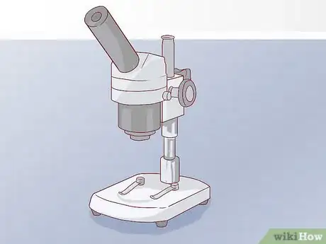 Immagine titolata Find and Care for a Pet Tardigrade (Water Bear) Step 7