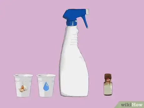 Immagine titolata Get Rid of Chicken Mites Step 7