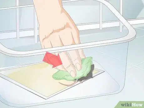 Immagine titolata Remove a Live Mouse from a Sticky Trap Step 5