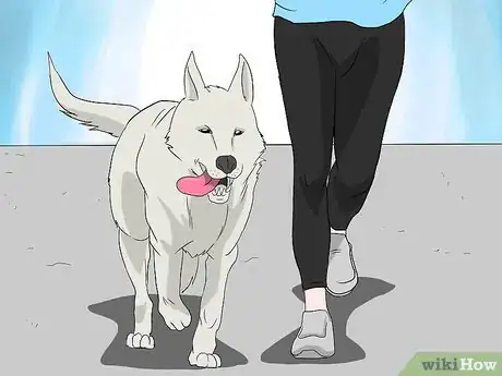 Immagine titolata Introduce Your Baby to Your Dog Step 11Bullet1