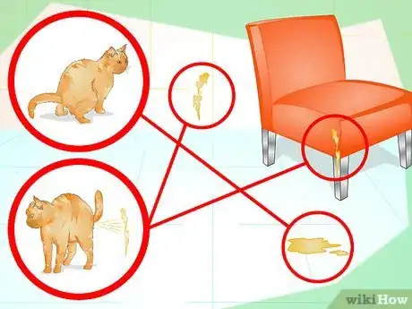 Immagine titolata Prevent a Cat from Spraying Step 7
