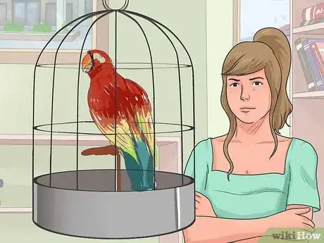 Immagine titolata Teach Your Bird to Talk Step 11