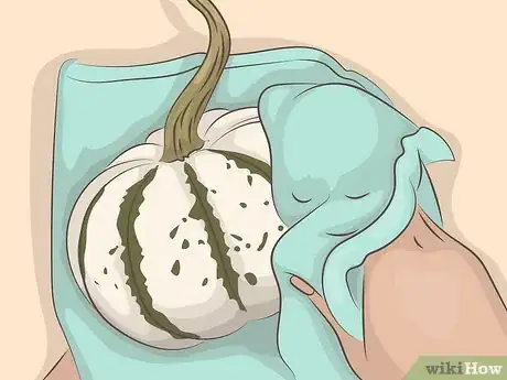 Immagine titolata Preserve a Pumpkin Step 10