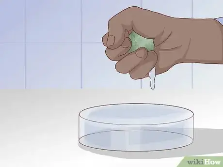 Immagine titolata Find and Care for a Pet Tardigrade (Water Bear) Step 6