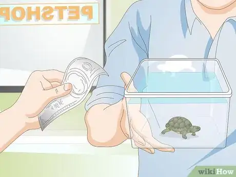 Immagine titolata Keep a Turtle Healthy Step 9