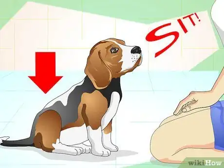 Immagine titolata Keep Your Dog Calm Outside His Crate Step 13