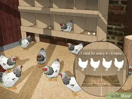 Immagine titolata Keep Chickens from Eating Their Own Eggs Step 1