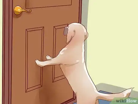 Immagine titolata Train a Guard Dog Step 14