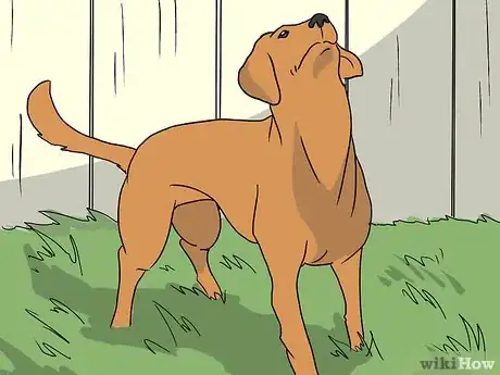 Immagine titolata Introduce Your Baby to Your Dog Step 10Bullet2