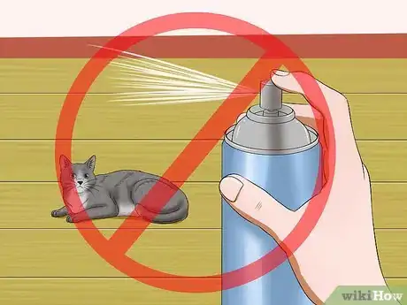 Immagine titolata Stop a Cat from Pulling Its Hair Out Step 4