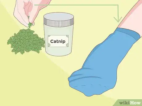 Immagine titolata Make Cat Toys out of Common Household Items Step 14