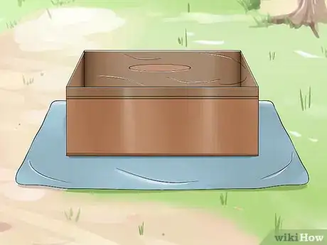 Immagine titolata Catch a Lizard Without Using Your Hands Step 9