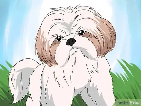 Immagine titolata Introduce Your Baby to Your Dog Step 12