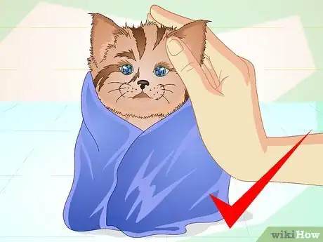 Immagine titolata Get a Sick Kitten to Eat Step 10