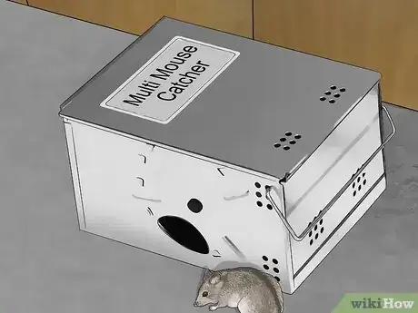Immagine titolata Get Rid of Mice Fast Step 1