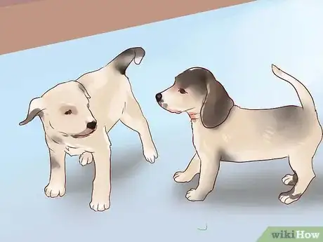 Immagine titolata Train a Guard Dog Step 4