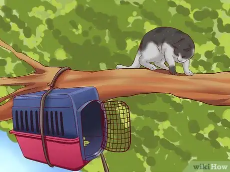 Immagine titolata Get a Cat out of a Tree Step 9