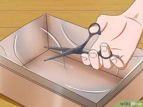 Immagine titolata Catch a Lizard Without Using Your Hands Step 6