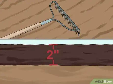 Immagine titolata Sow Grass Seed Step 4