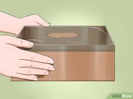 Immagine titolata Catch a Lizard Without Using Your Hands Step 8