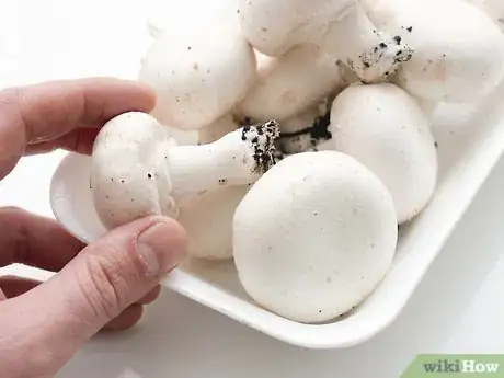 Immagine titolata Keep Mushrooms Fresh Step 7