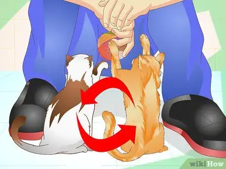 Immagine titolata Prevent a Cat from Spraying Step 6