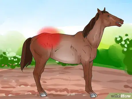 Immagine titolata Tell if Your Horse Needs Hock Injections Step 8