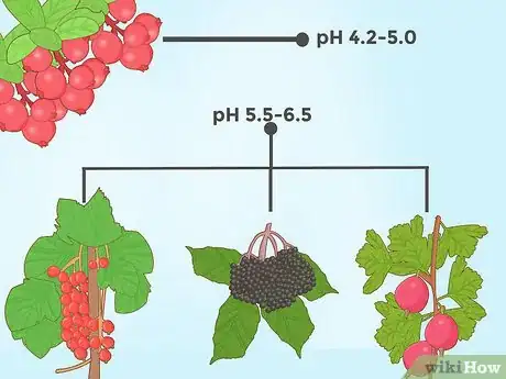 Immagine titolata Lower Soil pH Step 15