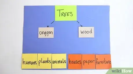 Immagine titolata Make a Concept Map Step 4