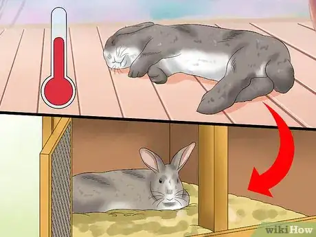 Immagine titolata Treat Heat Stroke in Rabbits Step 20