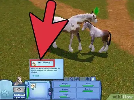 Immagine titolata Breed Your Pets on the Sims 3 Pets (Pc) Step 15