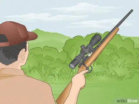 Immagine titolata Hunt Rabbit Step 5