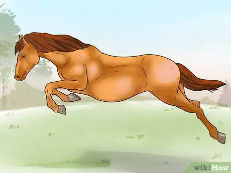 Immagine titolata Tell if Your Horse Needs Hock Injections Step 6