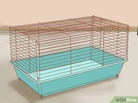 Immagine titolata Care for Syrian Hamsters Step 1