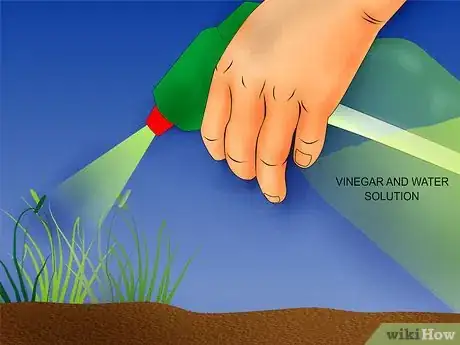 Immagine titolata Kill Weeds Step 11