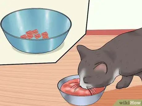 Immagine titolata Know if a Cat Is Stressed Step 3