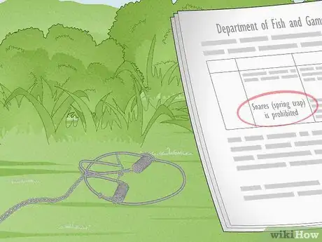 Immagine titolata Hunt Rabbit Step 6