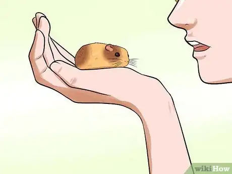 Immagine titolata Handle a Hamster Without Being Bitten Step 7