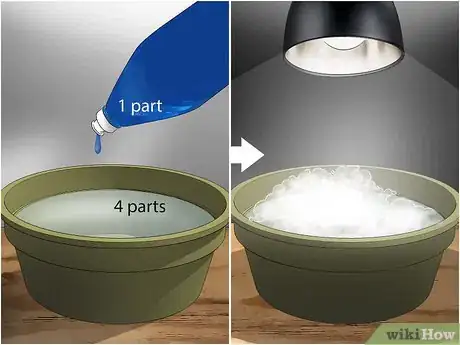 Immagine titolata Get Rid of Earwigs Step 4