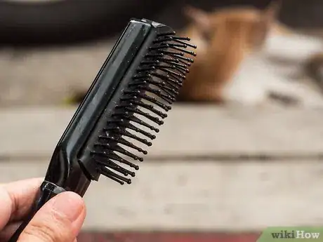 Immagine titolata Brush a Cat Step 1