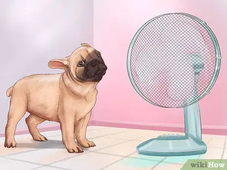 Immagine titolata Live with a Pug Dog Step 16