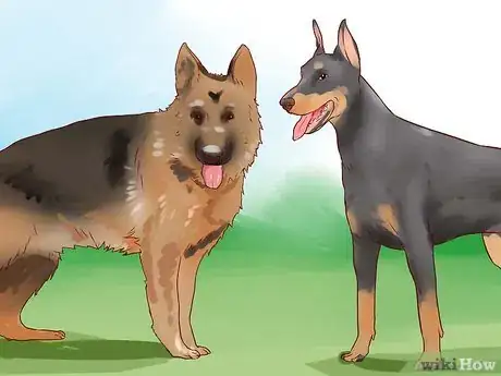 Immagine titolata Train a Guard Dog Step 2