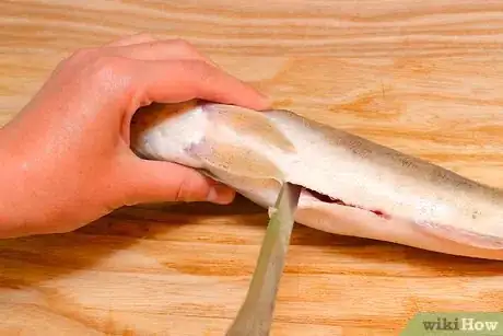 Immagine titolata Fillet a Rainbow Trout Fish Step 7