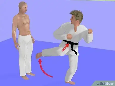 Immagine titolata Do A Side Kick Step 27