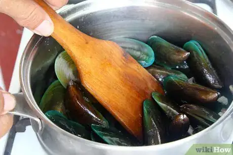 Immagine titolata Store Mussels Step 10