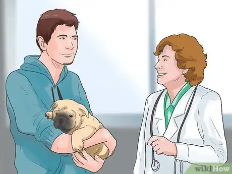 Immagine titolata Tell if Your Dog Has Parvo Step 11