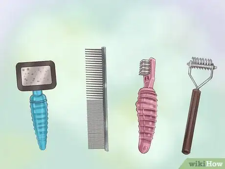 Immagine titolata Groom a Dog Step 1