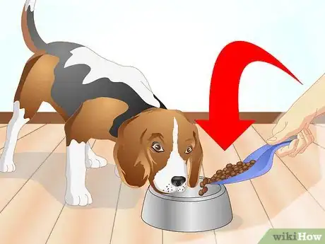 Immagine titolata Determine if Your Dog Has Food Allergies Step 5