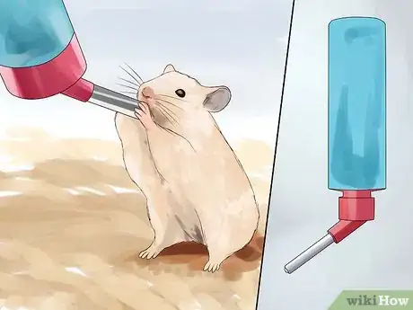 Immagine titolata Keep a Happy Hamster Step 9