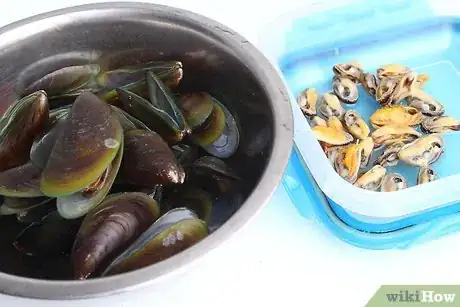 Immagine titolata Store Mussels Step 17